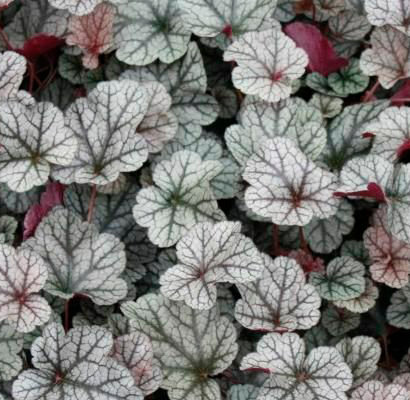 Мифтік порно